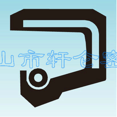 德国宝色霞板骨架油封TRA、TRE、TRCL