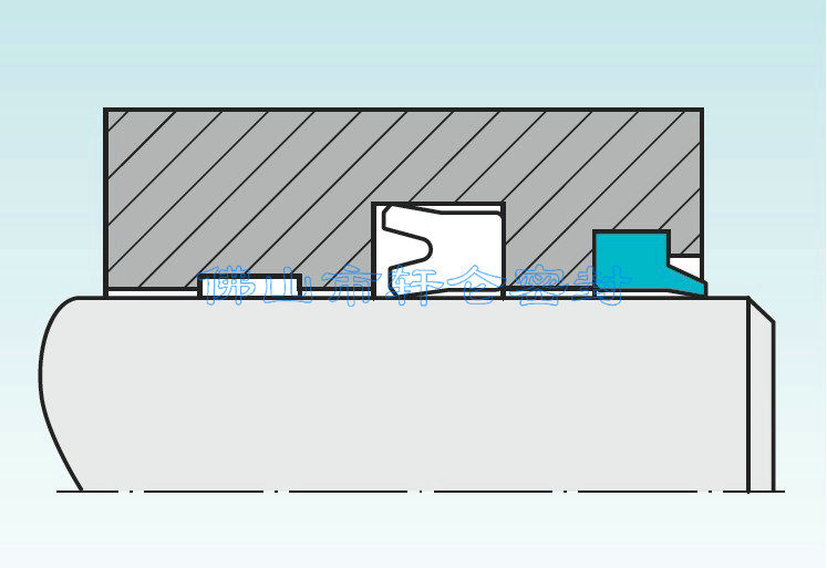 德国宝色霞板WRM防尘圈